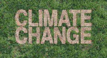 Cambio climático y enfermedades infecciosas: un cóctel peligroso, los datos de OMS