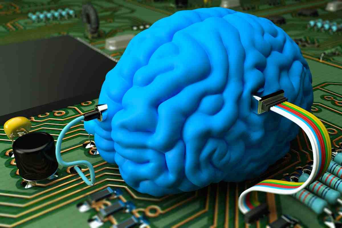 chip cerebro