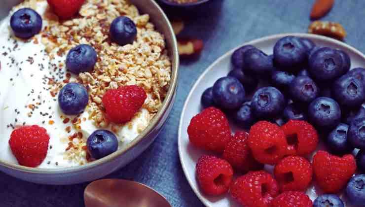 avena frutos rojos