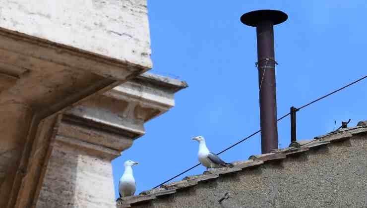 chimenea gaviotas