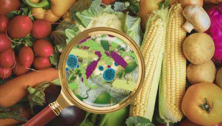 lente y comida