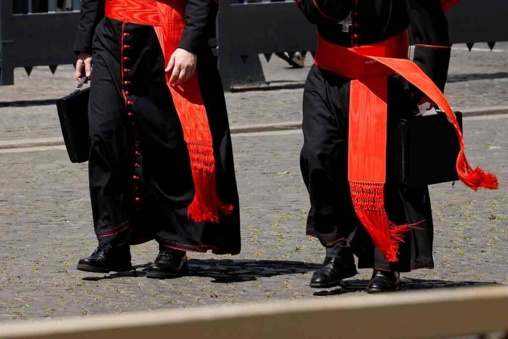 cardenales