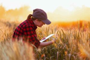 persona con tablet en campo