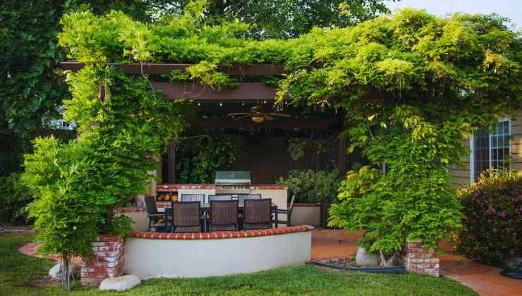 pergola