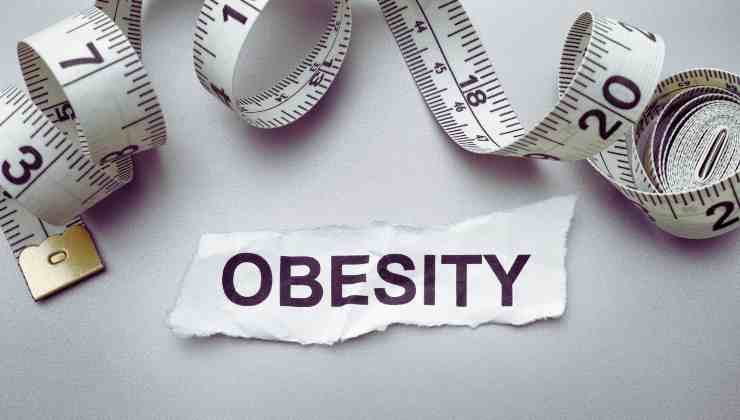 obesity 