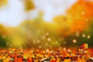 Otoño