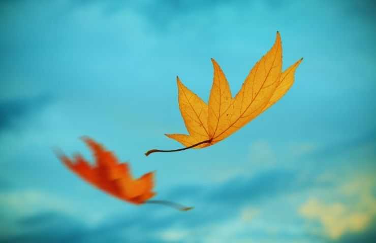Otoño 
