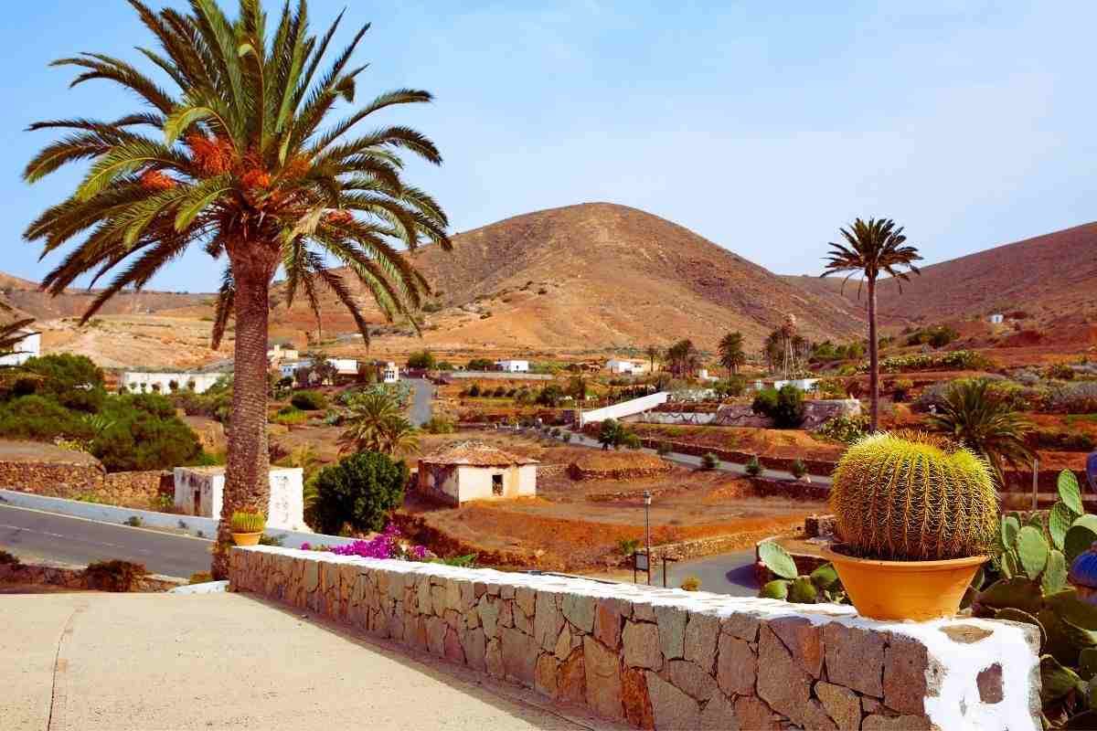 fuerteventura 