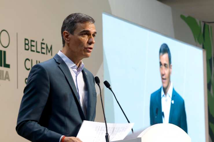 pedro sanchez 