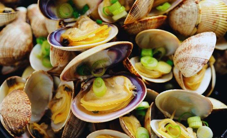 vongole